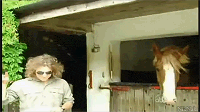 juliasegal.gif