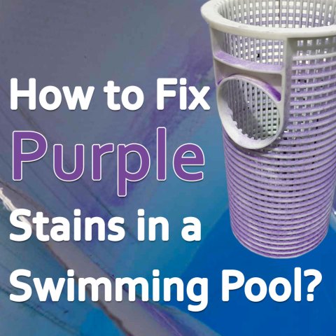 how-to-fix-purple-stains-in-a-swimming-pool.jpg