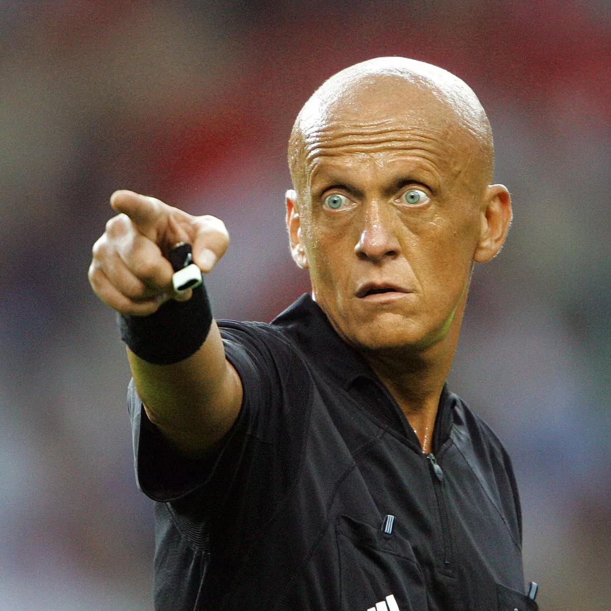1_The-Italian-referee-Pierluigi-Collina.jpg