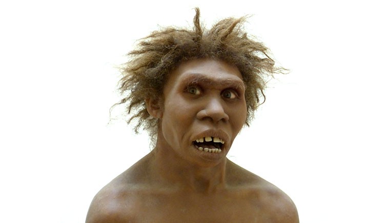 homo-heidelbergensis-img2.jpg